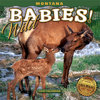 2021 Montana Wild Babies! Mini Wall Calendar align=