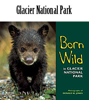 Born Wild in Glacier National Park