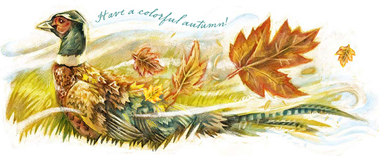 Rob's drawing of a pheasant and leaves in autumn colors